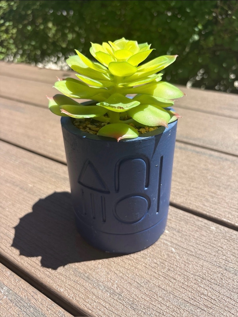 Bright Lime Green Succulent Navy Planter Container